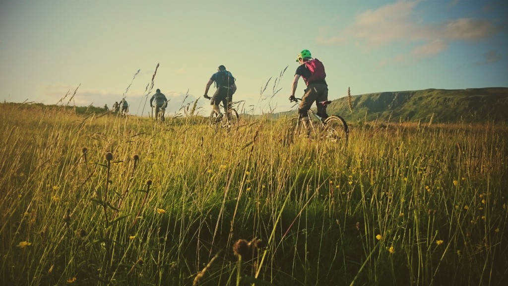 Moorland Sunshine