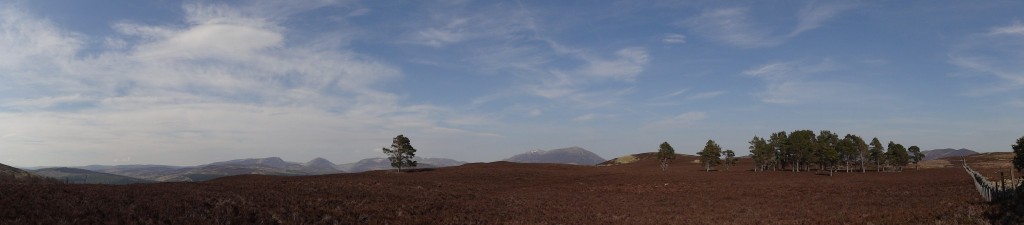 Panorama Above Blair Atholl
